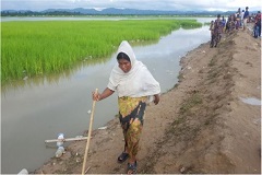 সাত দিন ধরে হেঁটেছেন অন্তঃসত্ত্বা হাসিনা